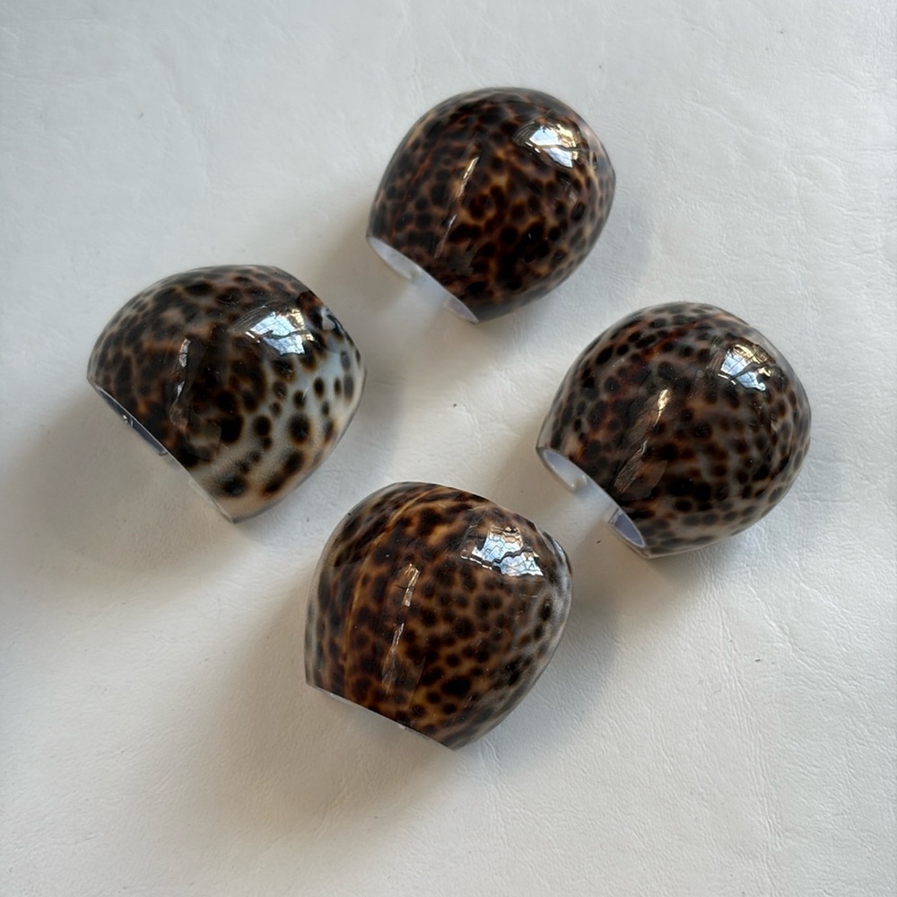 Tiger Cowrie shell napkin rings set of 4